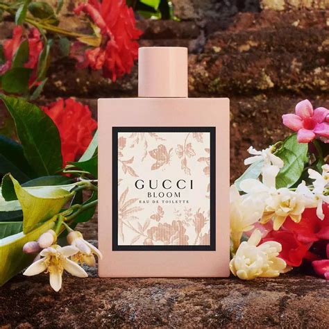 gucci 香水 口コミ|Gucci bloom.